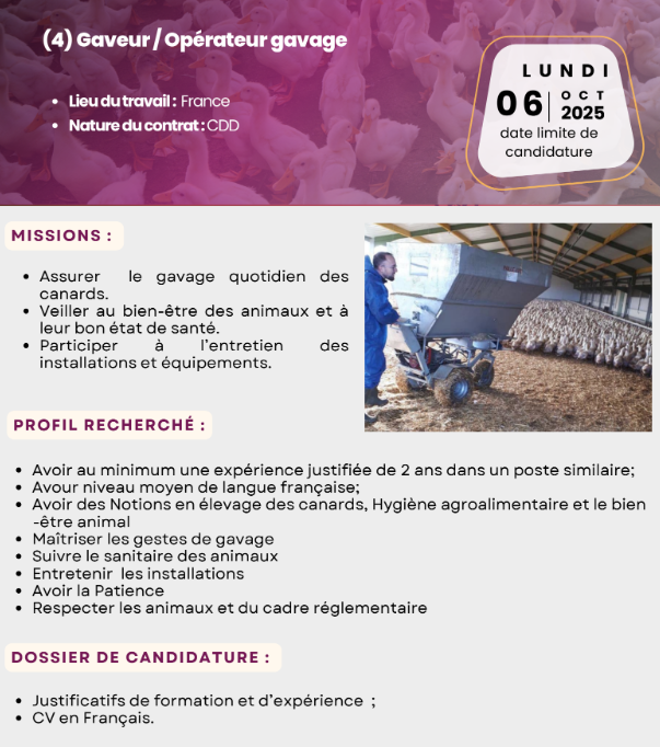 Poultry Farm Worker