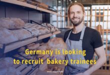 Germany is looking to recruit 30 bakery trainees