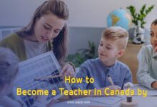 Ontario Certified Teacher (OCT) Guide