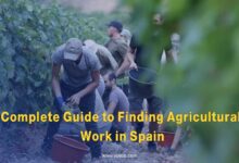 Complete Guide to Finding Agricultural Work in Spain Requirements, Salaries, and Registration Process