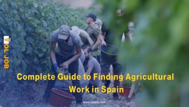 Complete Guide to Finding Agricultural Work in Spain Requirements, Salaries, and Registration Process