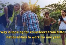 Fully Funded Volunteer Opportunity in Norway 2026: Experience an Arctic Adventure with Vevelstad Frivilligsentral