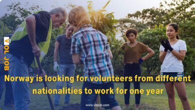 Fully Funded Volunteer Opportunity in Norway 2026: Experience an Arctic Adventure with Vevelstad Frivilligsentral