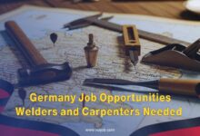Don't miss this excellent opportunity to work in Germany and develop your skills. Submit your application now!