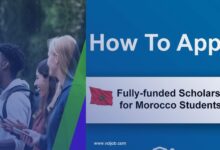 Hungary Scholarships for Moroccan Students 2026–2027 Eligibility, Requirements & How to Apply
