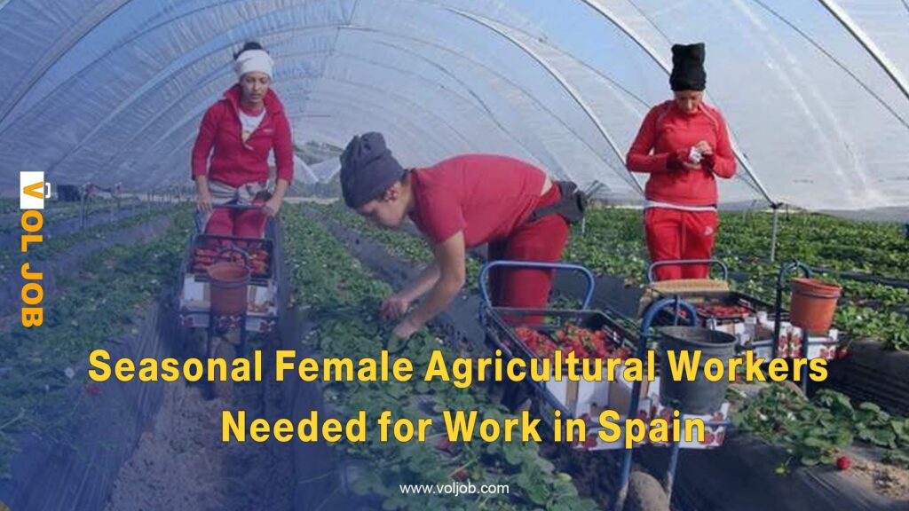 Seasonal Female Agricultural Workers Needed for Work in Spain