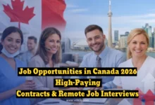 Job Opportunities in Canada 2026: Contracts with Attractive Salaries and "Remote" Job Interviews