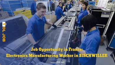 Job Opportunity in France: Electronics Manufacturing Worker in BISCHWILLER