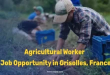 Agricultural Worker – Field Crops Job in Grisolles, France | Randstad 2026