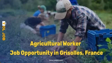 Agricultural Worker – Field Crops Job in Grisolles, France | Randstad 2026