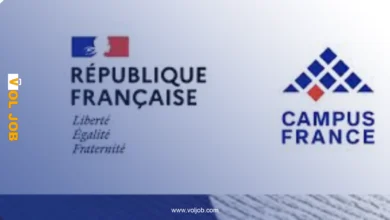 Double-Degree Scholarships 2026: Your Gateway to Study in France