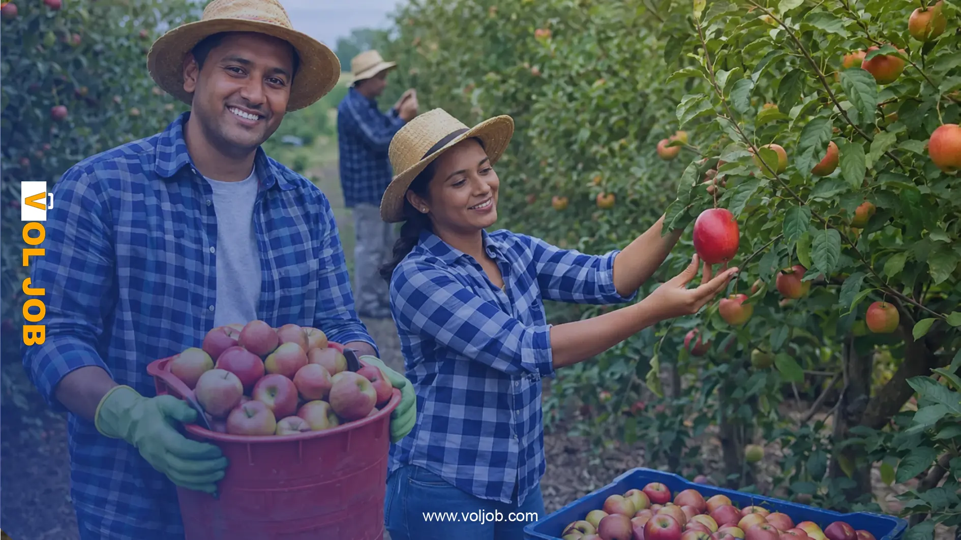 Farm Worker Jobs in Canada 2026 – Green Focus Farms Quebec LMIA-Approved Positions