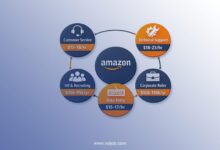The Complete Guide: How to Work with Amazon in America? (Remotely or Direct Jobs)