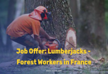 Forestry Jobs in France 2026 – CDI Contract €1,800/month | 4 Positions Available