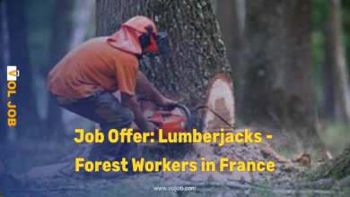 Forestry Jobs in France 2026 – CDI Contract €1,800/month | 4 Positions Available