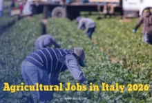 Italy Agricultural Jobs 2026: Flow Decree Requirements and Available Positions