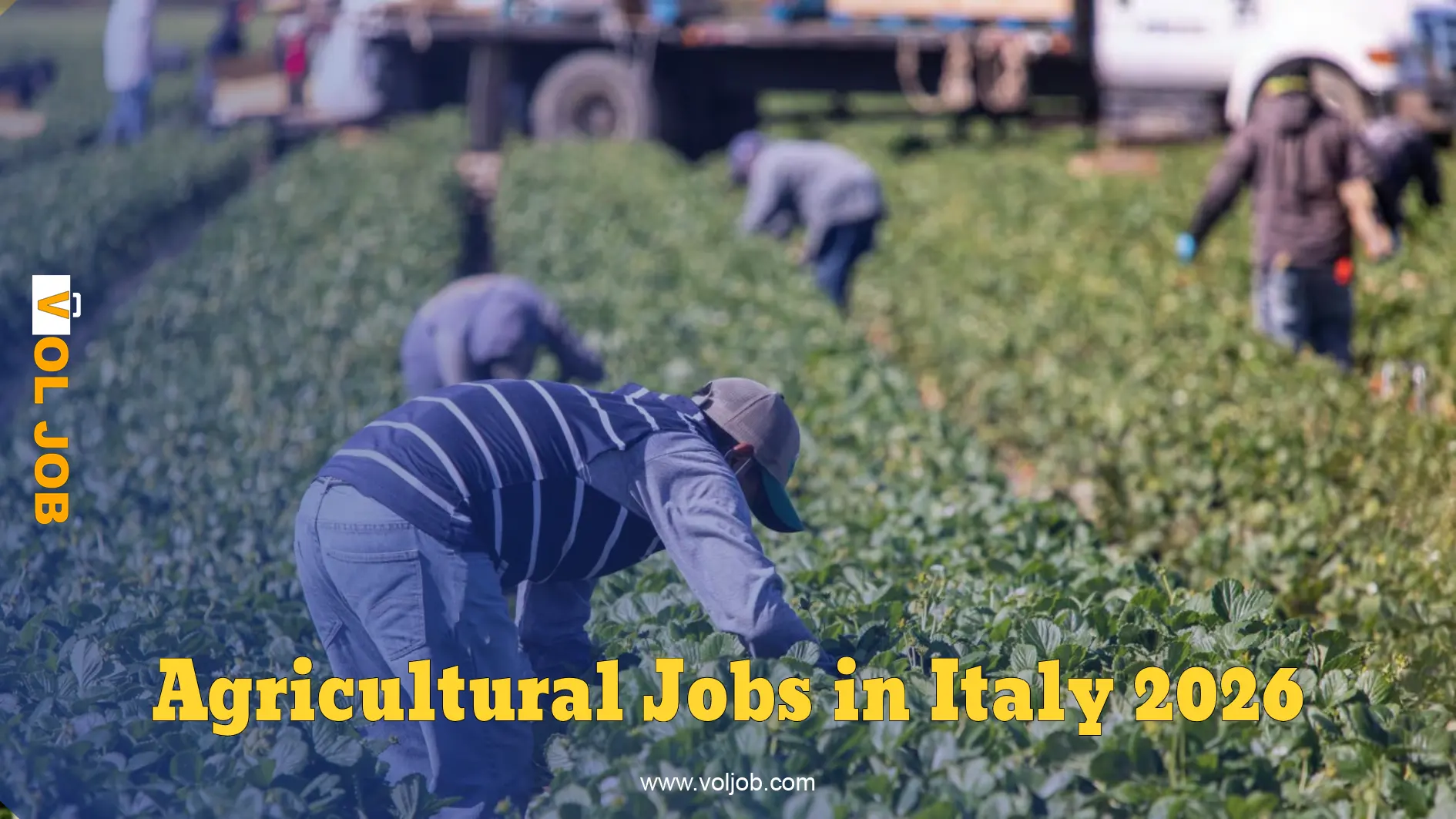 Agricultural Job Opportunities in Italy 2026 — A Guide to the Flow Decree and In-Demand Occupations