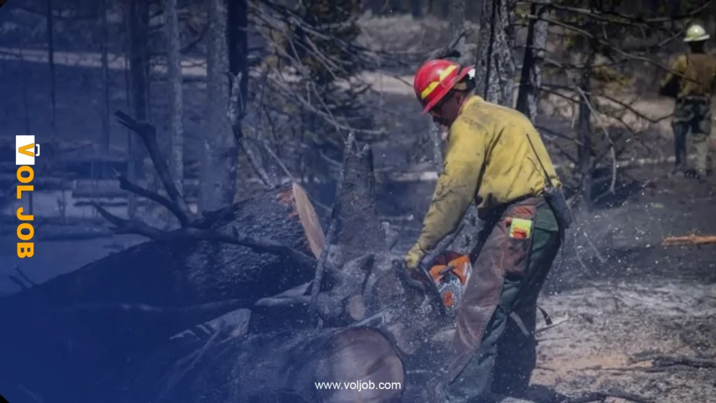Forestry Worker Jobs in France 2026 – 8 Positions | CDI + Flight Ticket