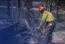 Forestry Worker Jobs in France 2026 – 8 Positions | CDI + Flight Ticket