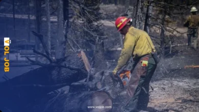 Forestry Worker Jobs in France 2026 – 8 Positions | CDI + Flight Ticket