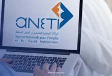 Jobs in France for Tunisians 2026 | ANETI International Guide