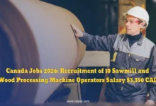 Canada Jobs 2026: Recruitment of 10 Sawmill and Wood Processing Machine Operators – Salary $3,350 CAD