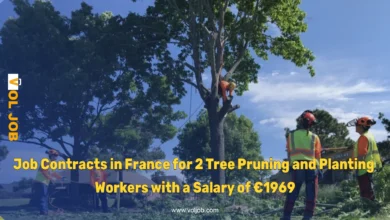 Job Contracts in France for 2 Tree Pruning and Planting Workers with a Salary of €1969