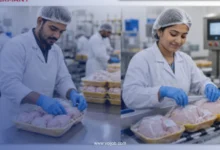 Germany Dual Vocational Training 2026-2027: Bakery, Pastry & Sales Jobs