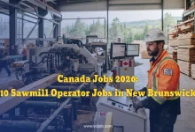 Canada Jobs 2026: 10 Sawmill Operator Jobs in New Brunswick